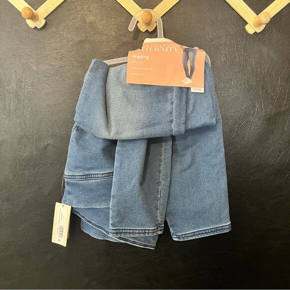 Destination Maternity Jeggings Size Large - Picture 1 of 6